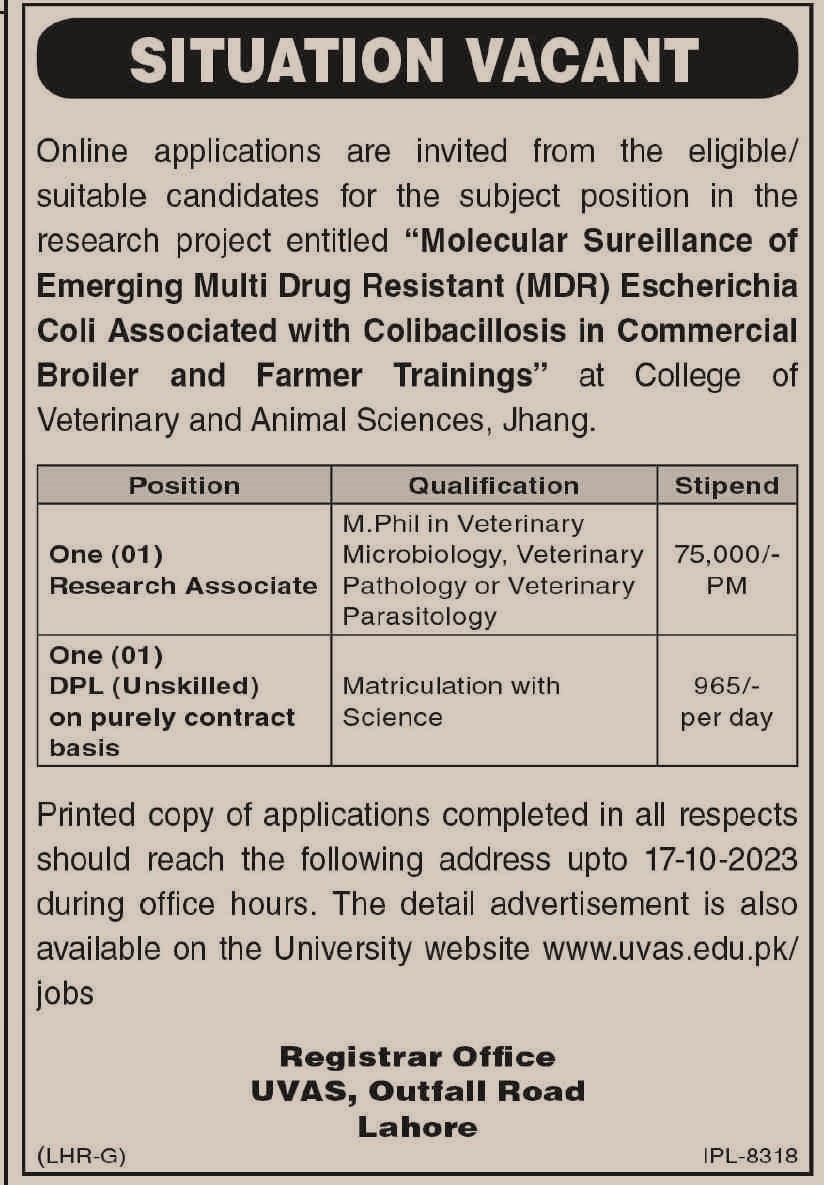 Veterinary Jobs in Lahore